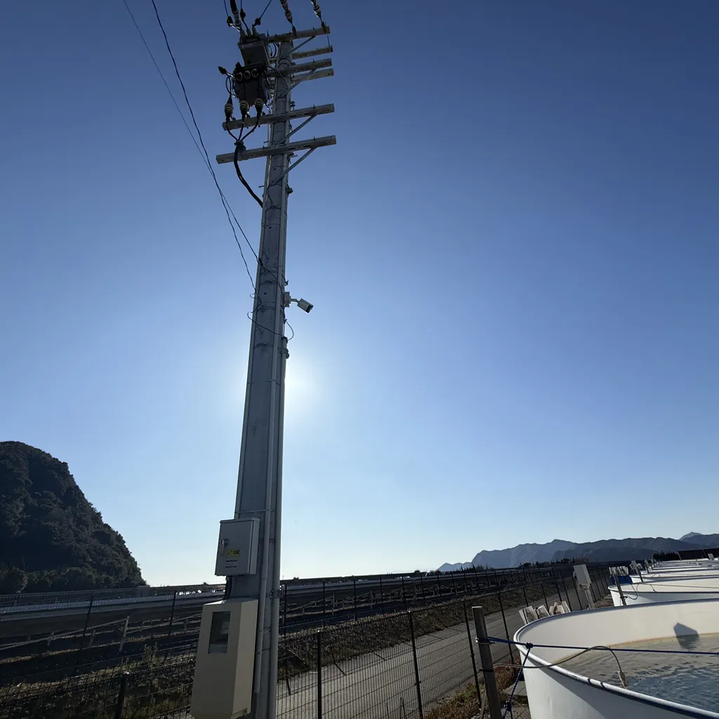 水槽の上方から全体を見渡せる防犯カメラ